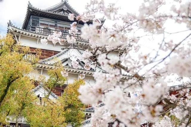 ●広島の勲章/徽章＊長晟廣嶋城入城三百年記念章（実物） 広島の勲章/徽章＊長晟廣嶋城入城三百年記念章（